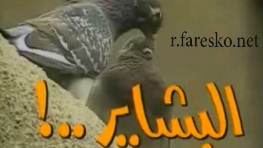 مسلسل البشاير الحلقة 4 الرابعة كاملة