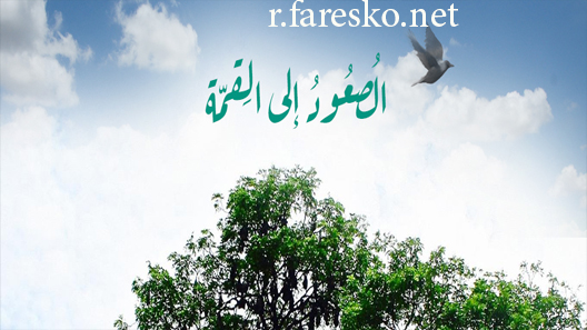 مسلسل الصعود إلى القمة الحلقة 15 الخامسة عشر كاملة