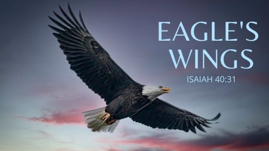 فيلم Eagle Wings 2022 ايجي بست