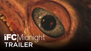 فيلم Hatching 2022 ايجي بست