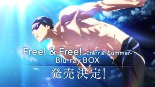 فيلم Free! Movie 3: Road to the World 2021 ايجي بست