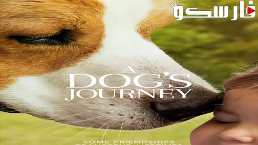 فيلم A Dog’s Journey 2019 ايجي بست