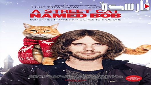 فيلم A Street Cat Named Bob 2016 ايجي بست