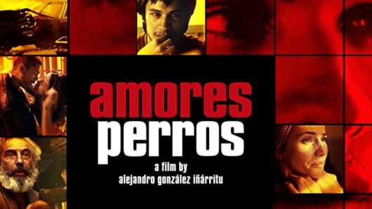 فيلم Amores Perros 2000 ايجي بست