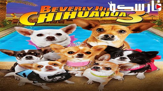 فيلم Beverly Hills Chihuahua 3: Viva la Fiesta! 2012 ايجي بست