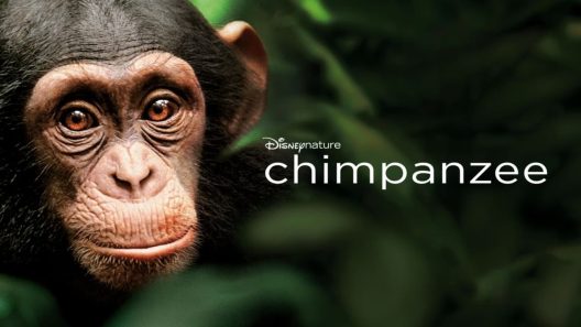 فيلم Chimpanzee 2012 ايجي بست