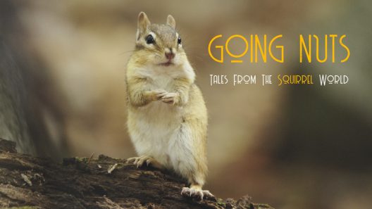 فيلم Going Nuts: Tales from the Squirrel World 2019 ايجي بست