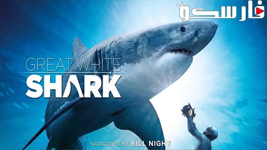 فيلم Great White Shark 2013 ايجي بست