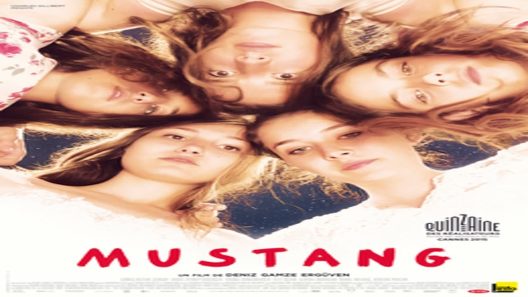 فيلم Mustang 2015 ايجي بست