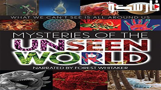 فيلم Mysteries of the Unseen World 2013 ايجي بست