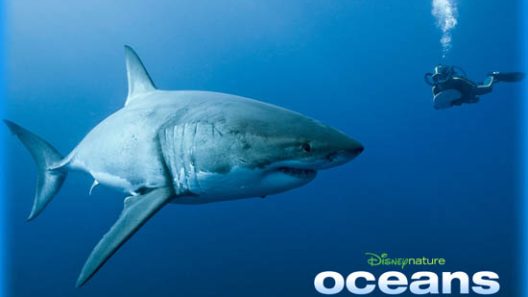 فيلم Oceans 2010 ايجي بست