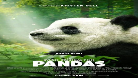 فيلم Pandas 2018 ايجي بست