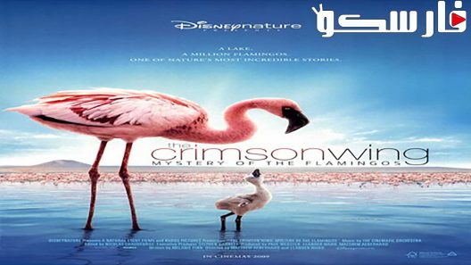 فيلم The Crimson Wing: Mystery of the Flamingos 2008 ايجي بست