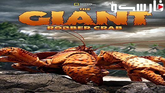 فيلم The Giant Robber Crab 2019 ايجي بست