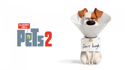 فيلم The Secret Life of Pets 2 2019 ايجي بست