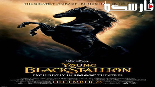 فيلم Young Black Stallion 2003 ايجي بست