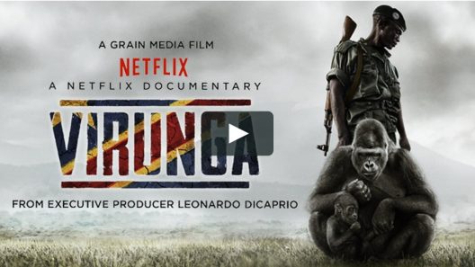 فيلم Virunga 2014 ايجي بست