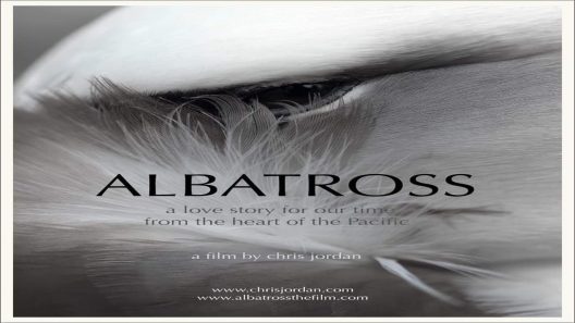 فيلم Albatross 2022 ايجي بست