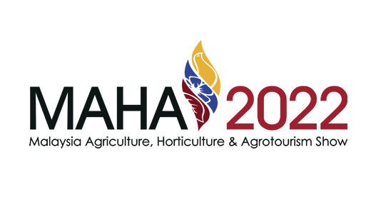 فيلم Maha 2022 ايجي بست