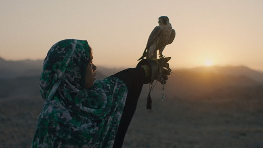فيلم The Falconer 2021 ايجي بست
