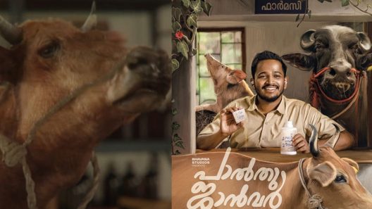 فيلم Palthu Janwar 2022 ايجي بست