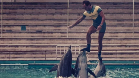 فيلم The Last Dolphin King 2022 ايجي بست