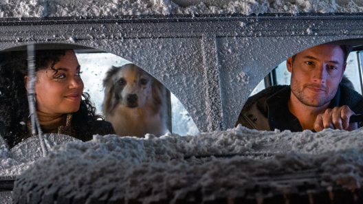 فيلم The Noel Diary 2022 ايجي بست