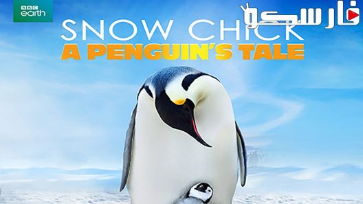 فيلم Snow Chick – A Penguin’s Tale 2015 ايجي بست
