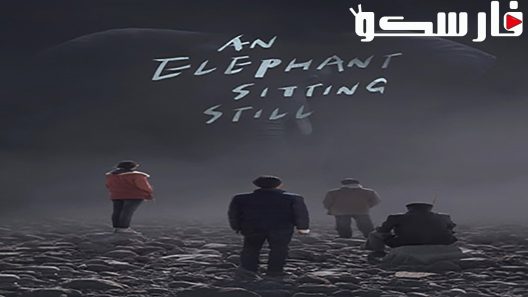 فيلم Still 2018 ايجي بست