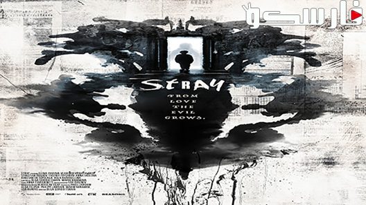 فيلم Stray 2019 ايجي بست