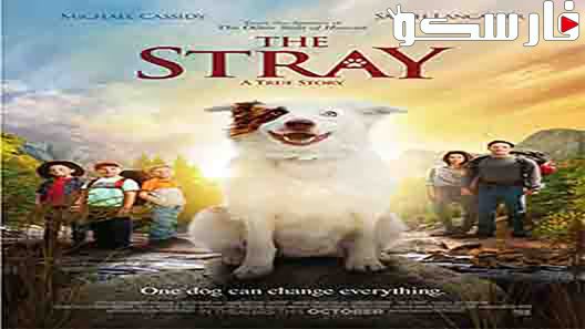 فيلم The Stray 2017 ايجي بست