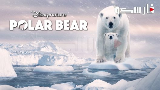 فيلم Polar Bears 2020 ايجي بست
