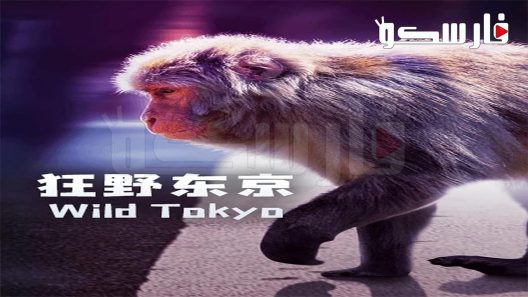 فيلم Wild Tokyo 2020 ايجي بست