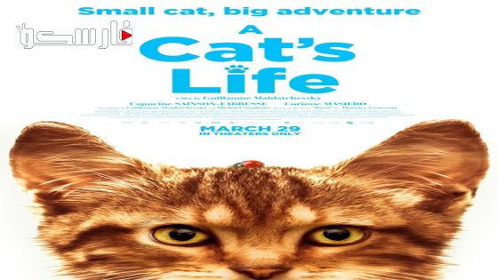 فيلم Mon chat et moi, la grande aventure de Rroû 2023 ايجي بست