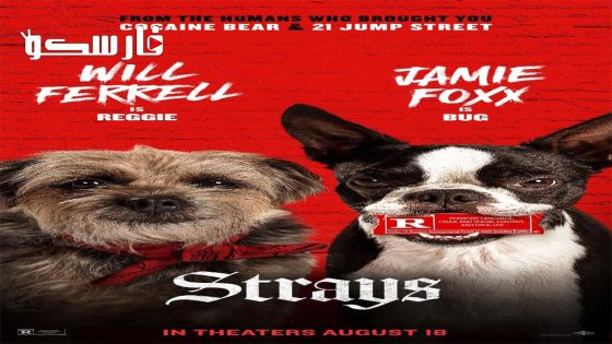 فيلم Strays 2023 ايجي بست