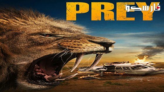 فيلم Prey 2024 ايجي بست